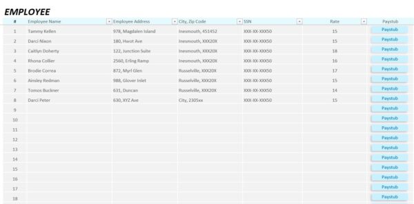 Payroll and Paystub Excel Template